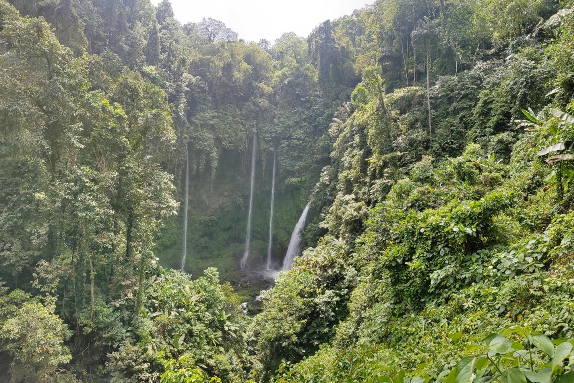 Ilasan Cottage. Tomohon Екстер'єр фото